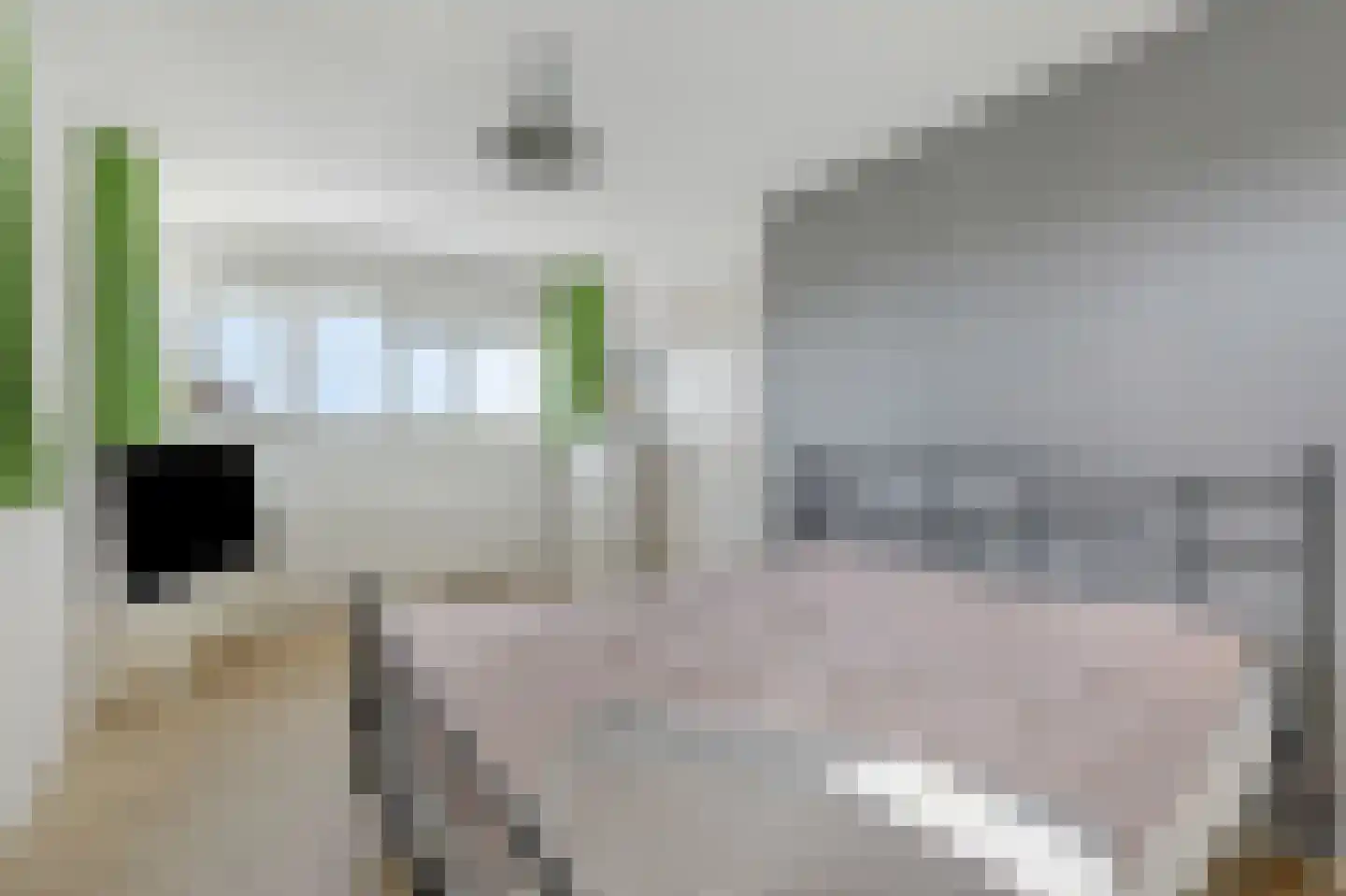 Bingerdenallee 186 Duiven thumbnail 50