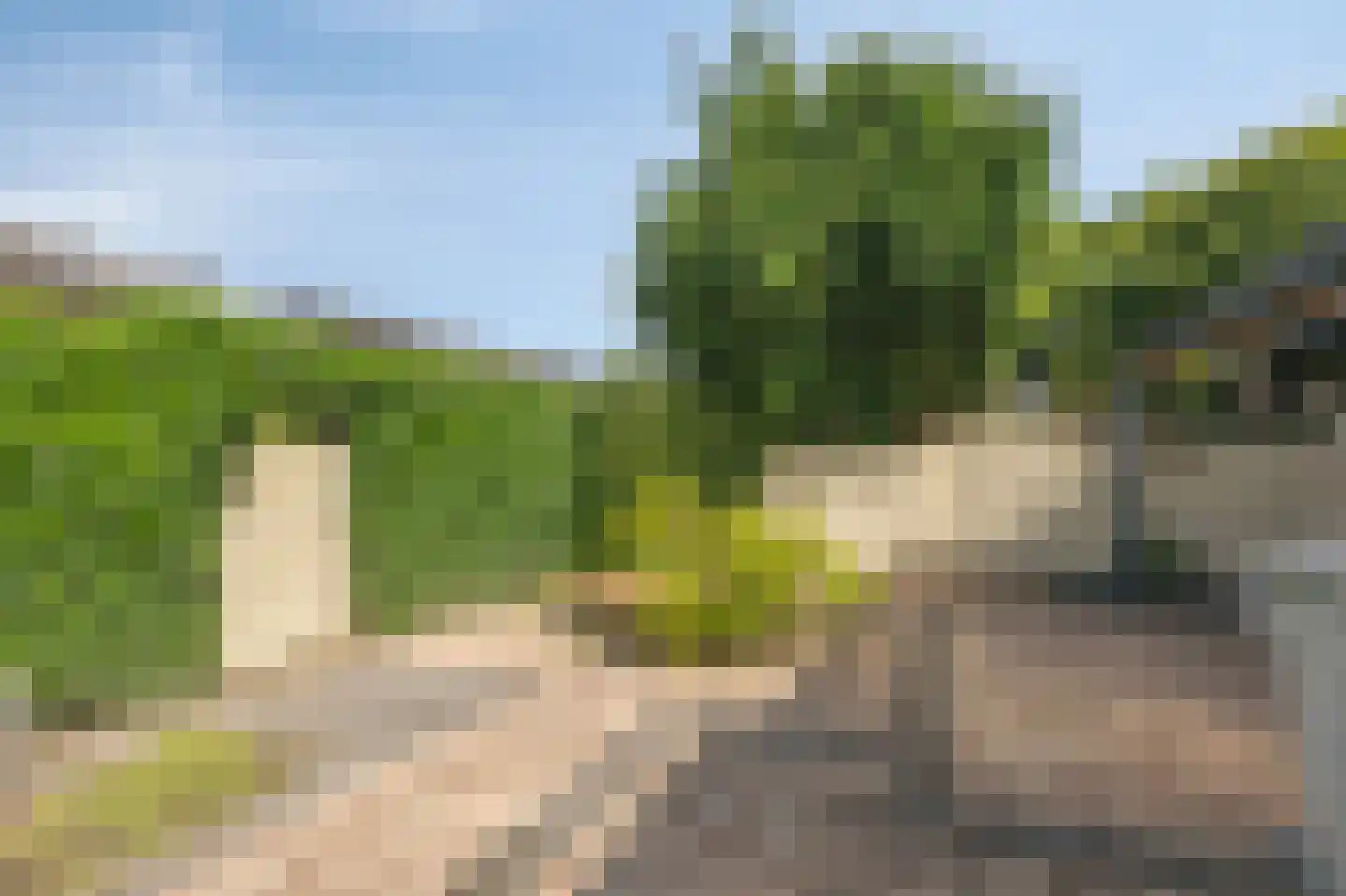 Bingerdenallee 186 Duiven thumbnail 56