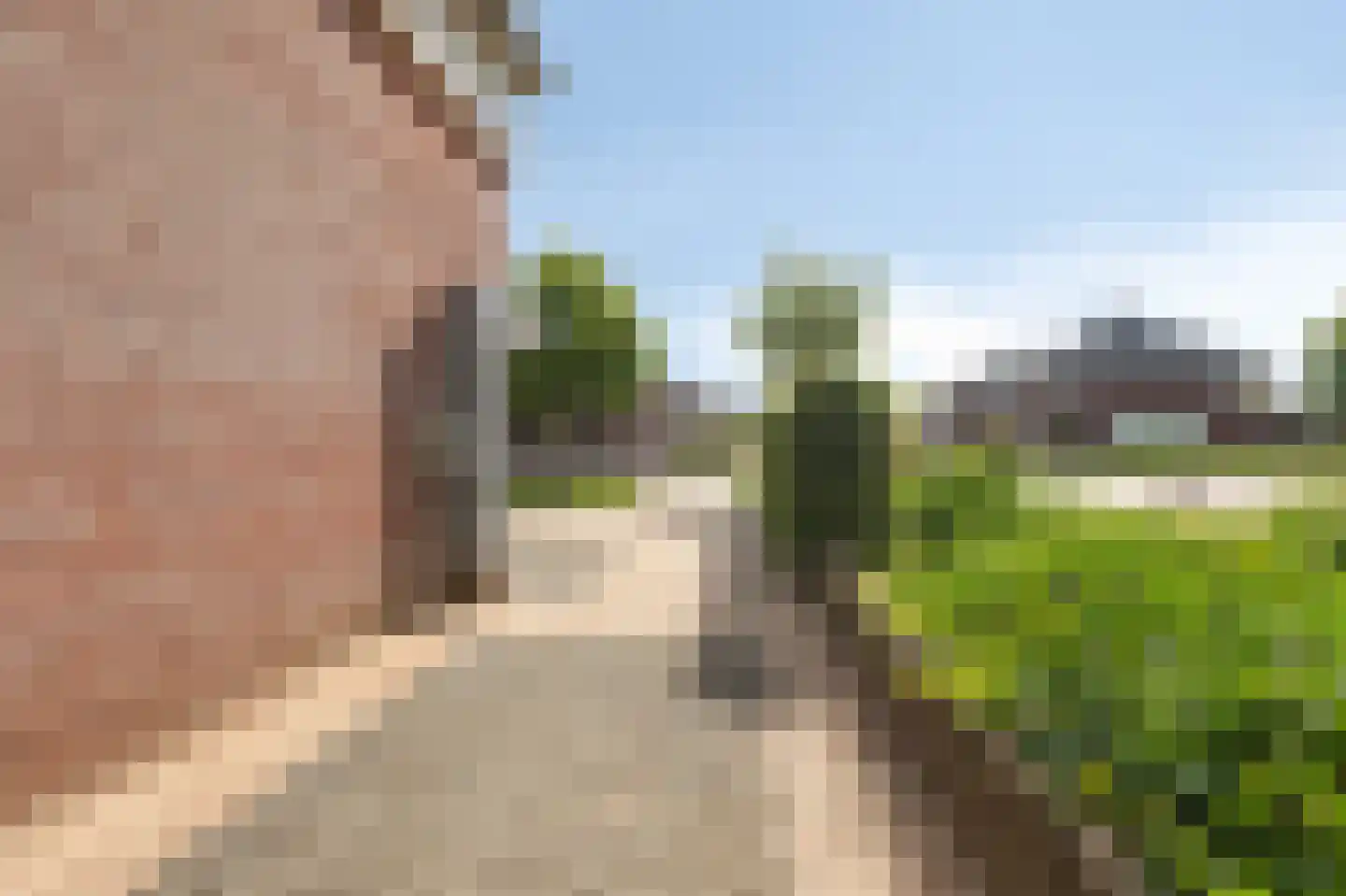 Bingerdenallee 186 Duiven thumbnail 62