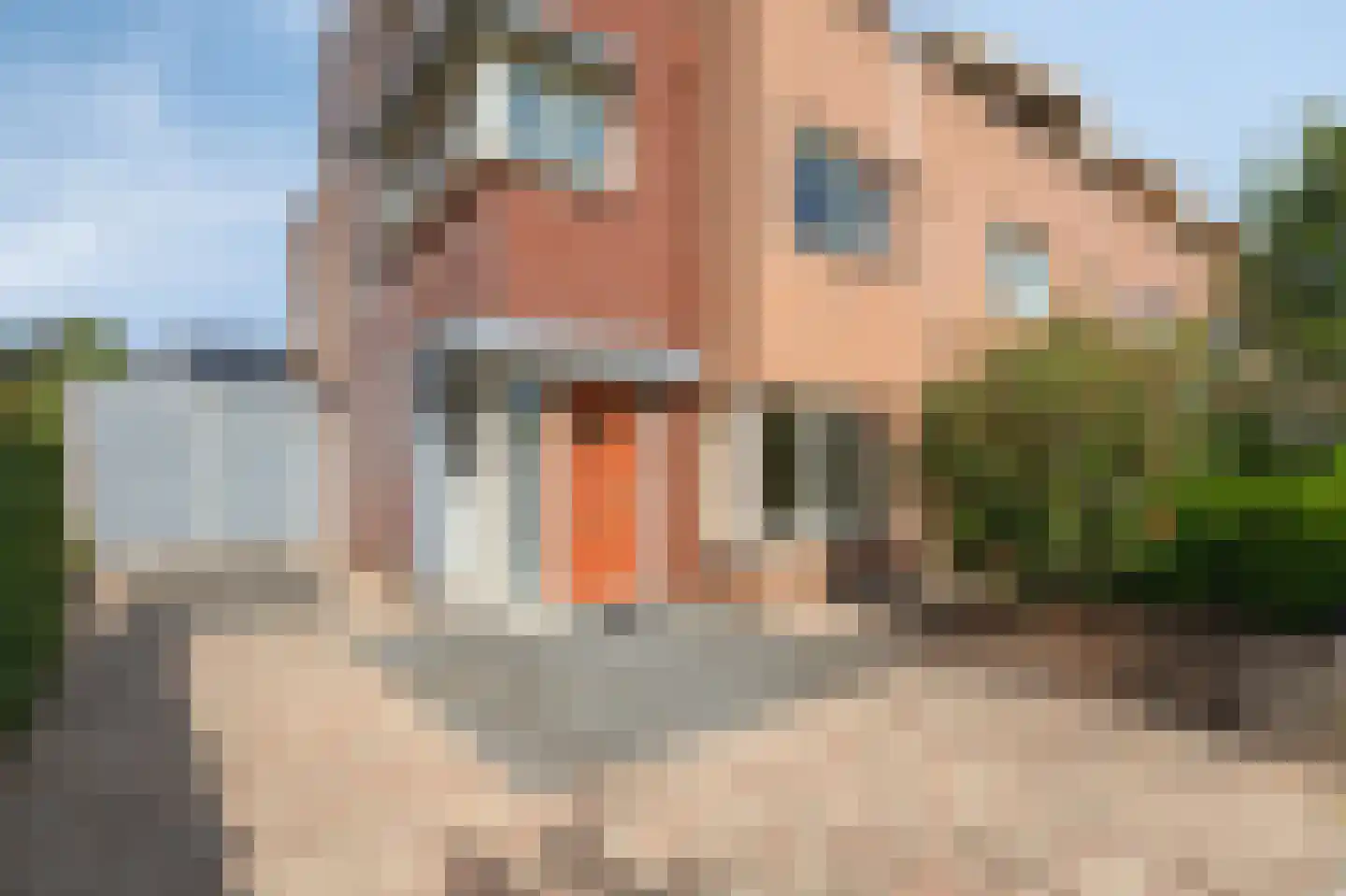 Bingerdenallee 186 Duiven thumbnail 8