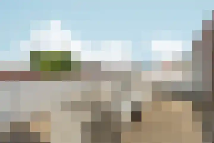 Bingerdenallee 190 Duiven thumbnail 29