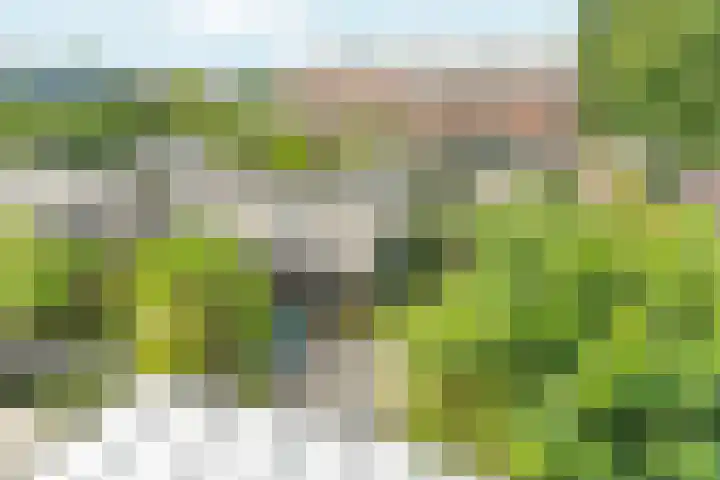 Bingerdenallee 190 Duiven thumbnail 32