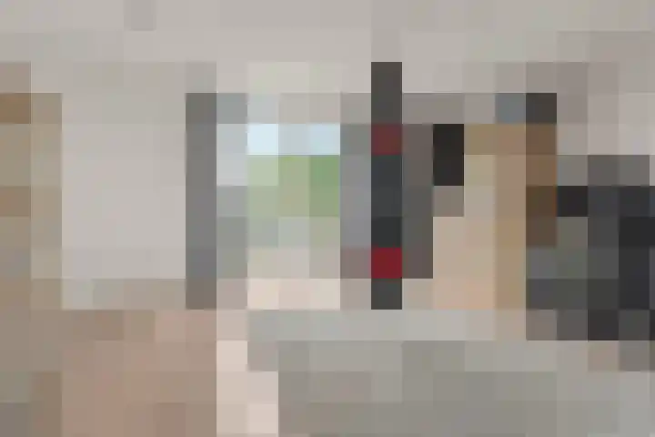 Bingerdenallee 190 Duiven thumbnail 34