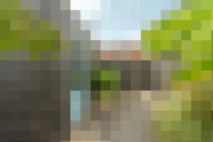 Bingerdenallee 190 Duiven thumbnail 37