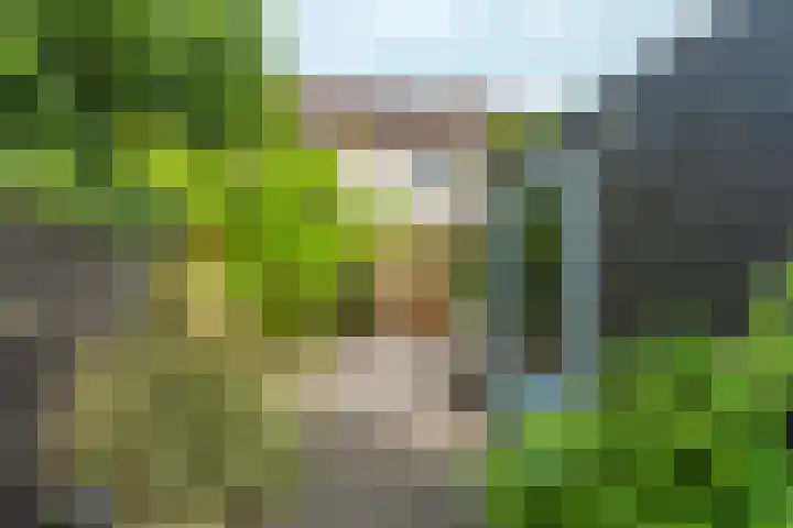 Bingerdenallee 190 Duiven thumbnail 38