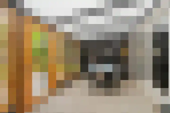 Bingerdenallee 190 Duiven thumbnail 4