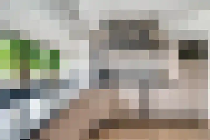 Bingerdenallee 192 Duiven thumbnail 15