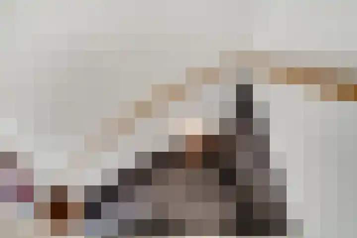 Bingerdenallee 192 Duiven thumbnail 16