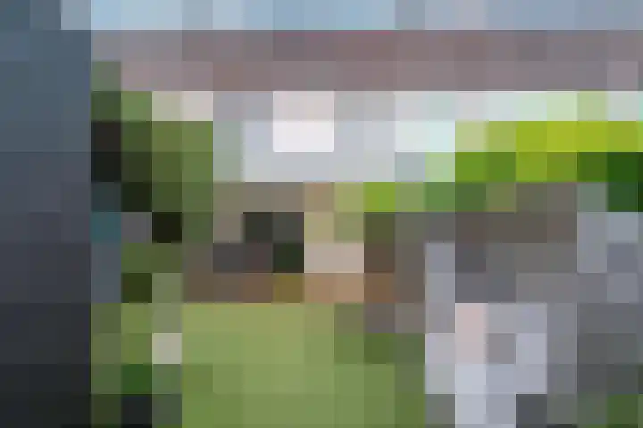 Bingerdenallee 192 Duiven thumbnail 33