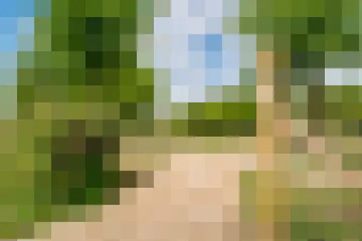 Bingerdenallee 192 Duiven thumbnail 41