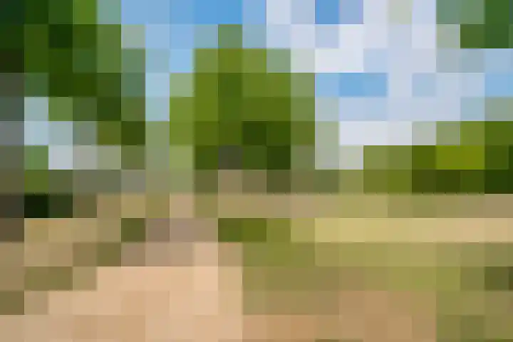 Bingerdenallee 192 Duiven thumbnail 42