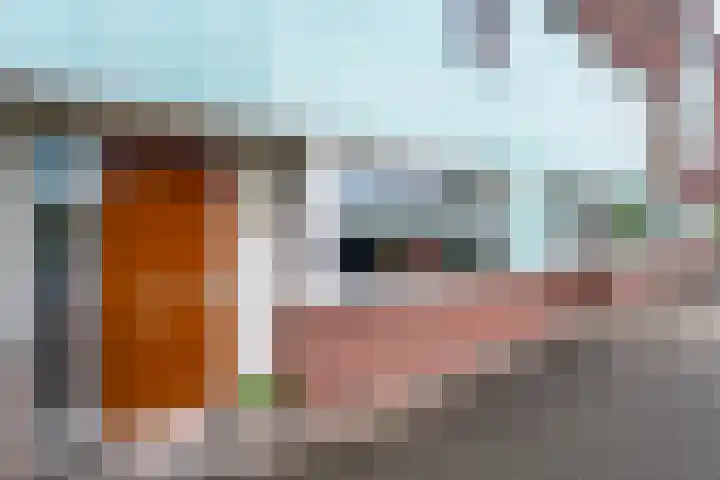 Bingerdenallee 192 Duiven thumbnail 5