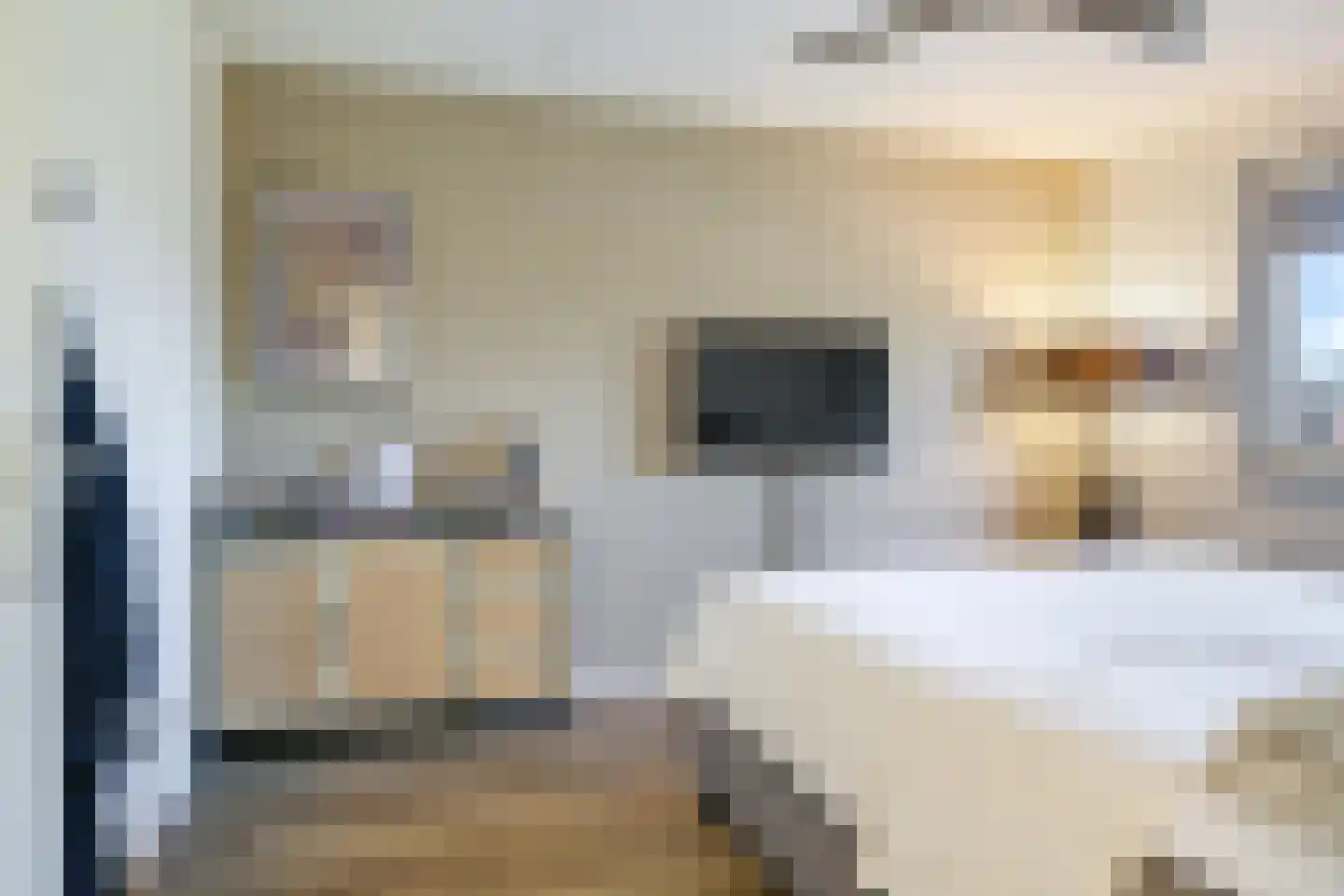 Bingerdenallee 200 Duiven thumbnail 21