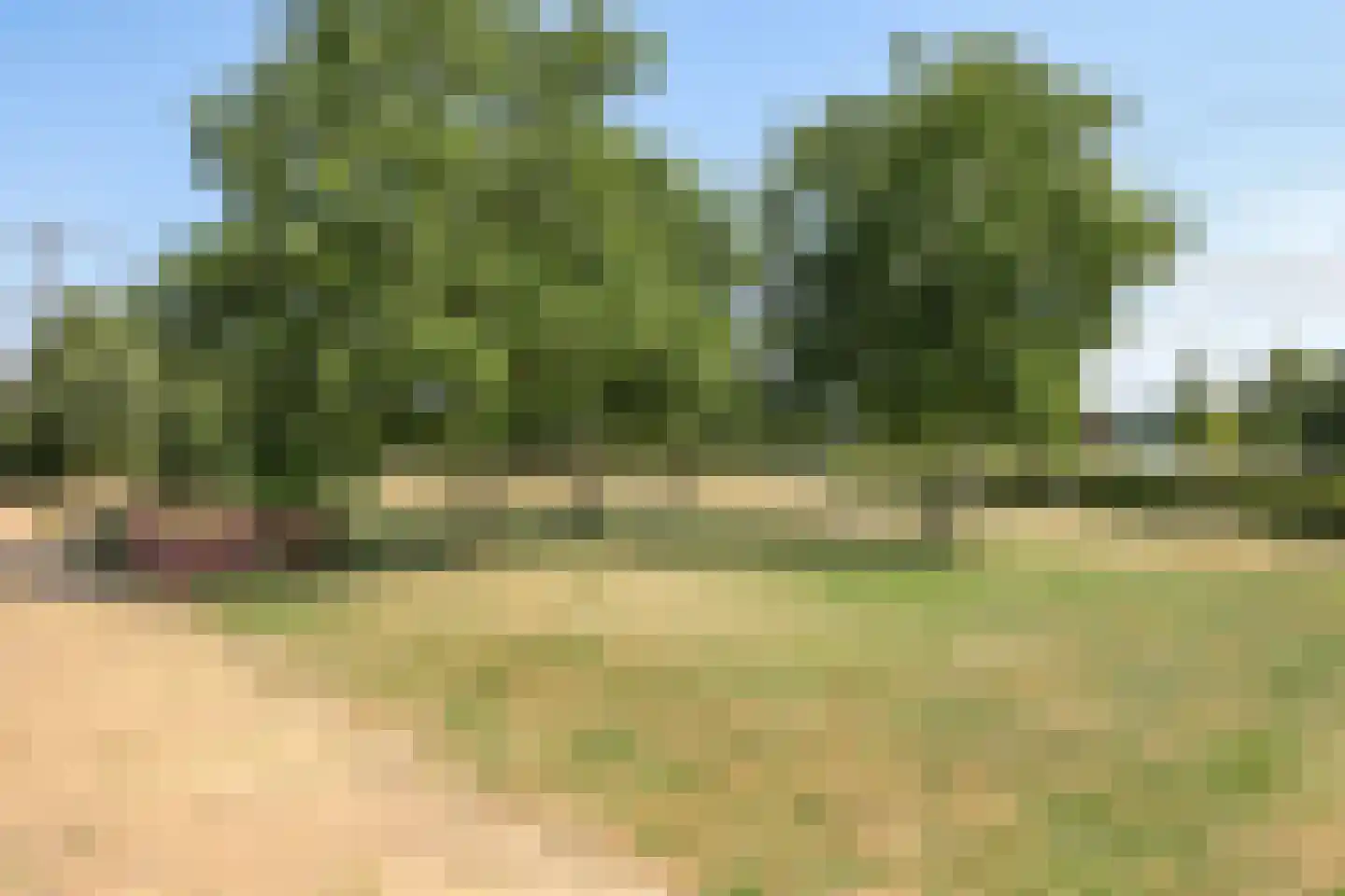 Bingerdenallee 200 Duiven thumbnail 45