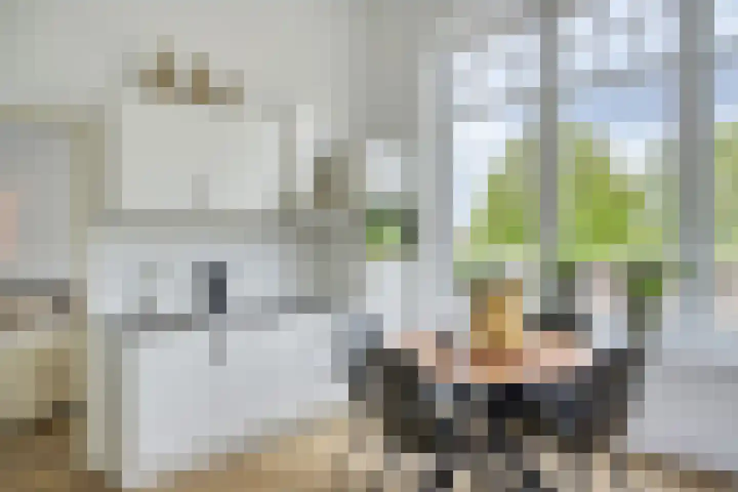 Bingerdenseweg 15 Angerlo thumbnail 28
