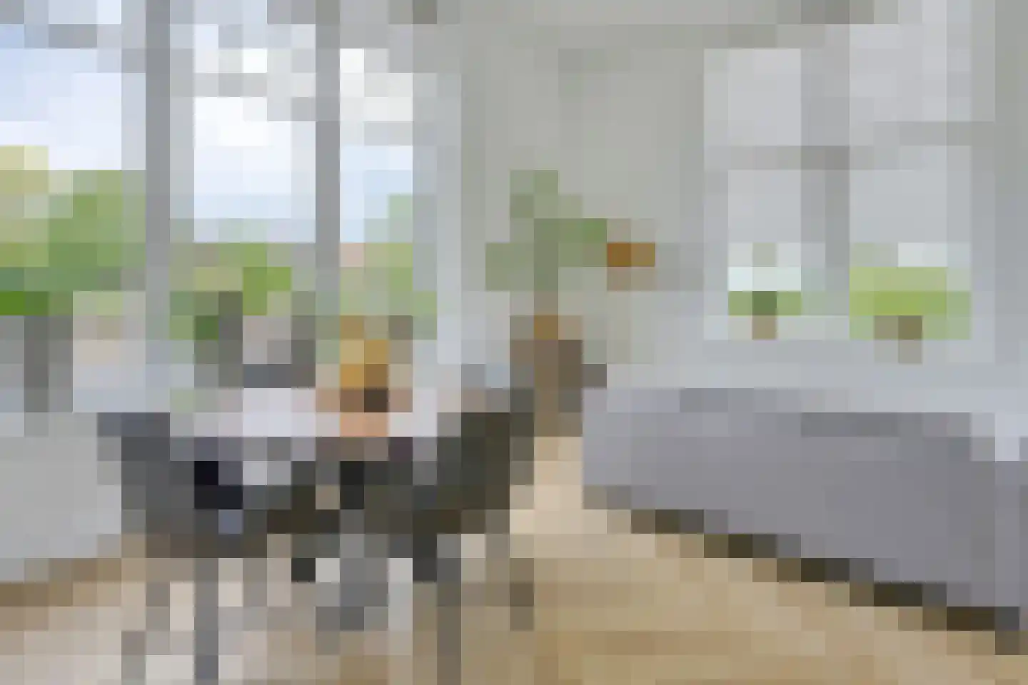 Bingerdenseweg 15 Angerlo thumbnail 29