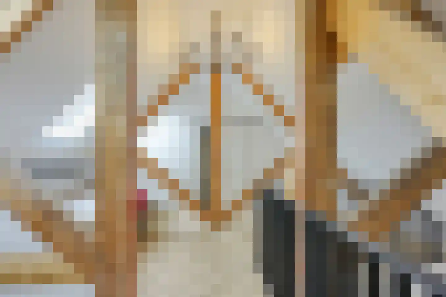 Bingerdenseweg 15 Angerlo thumbnail 42