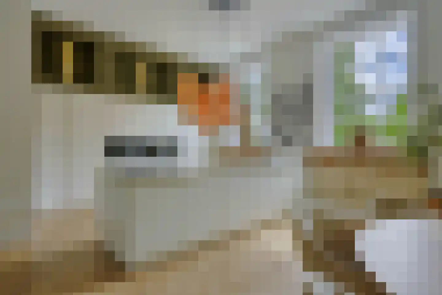 Bingerdenseweg 15 Angerlo thumbnail 5