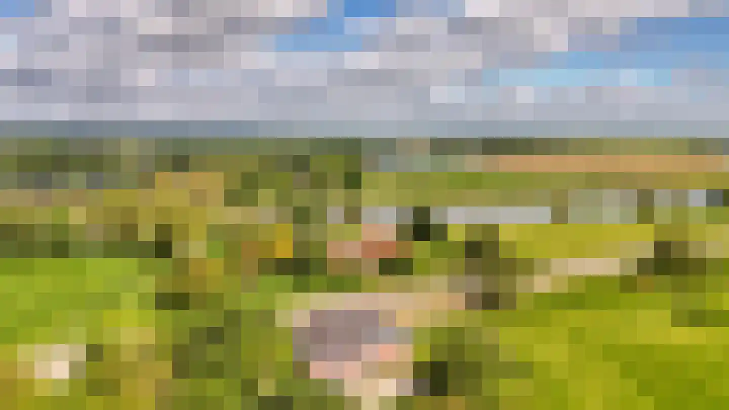 Bingerdenseweg 15 Angerlo thumbnail 54