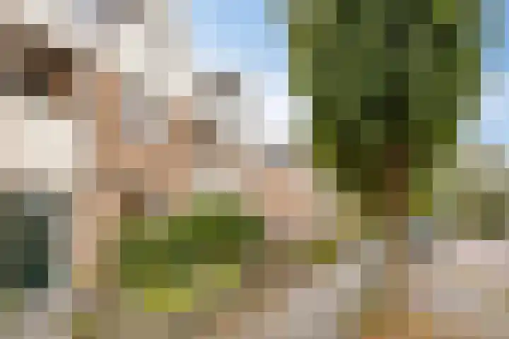 Bingerdenseweg 27 Doesburg thumbnail 6