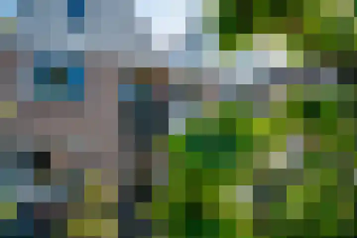 Bingerdenseweg 35 Doesburg thumbnail 6