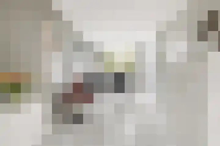 Bingse Boogaard 17 Everdingen thumbnail 10