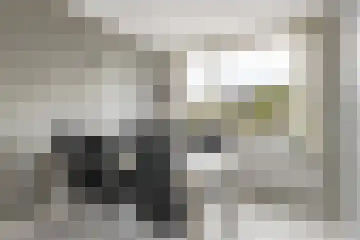 Bingse Boogaard 17 Everdingen thumbnail 11