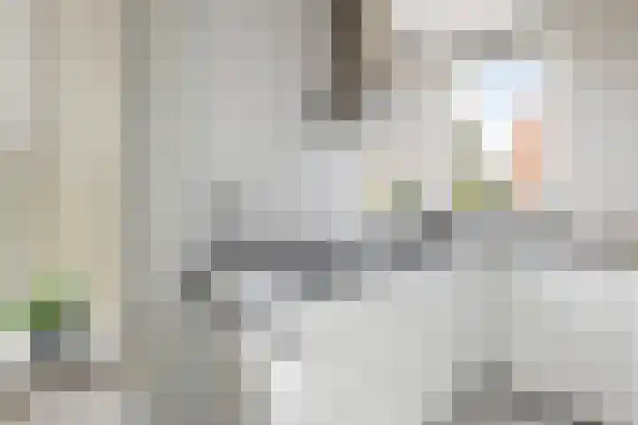 Bingse Boogaard 17 Everdingen thumbnail 12