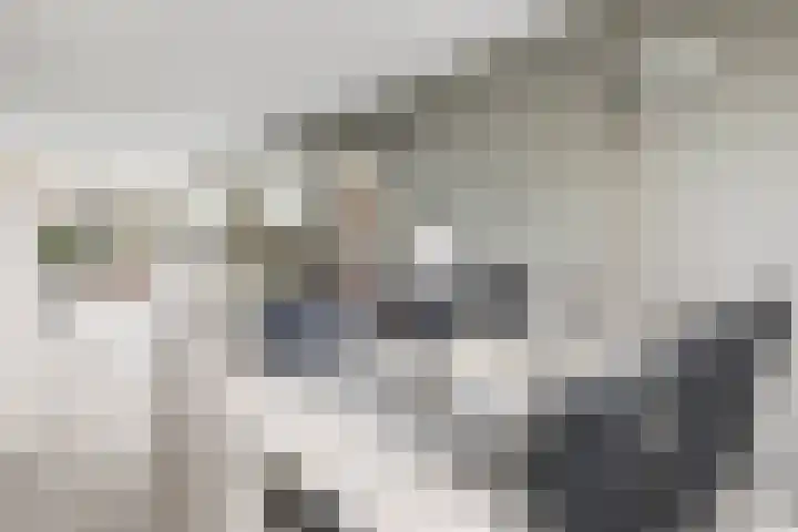 Bingse Boogaard 17 Everdingen thumbnail 15