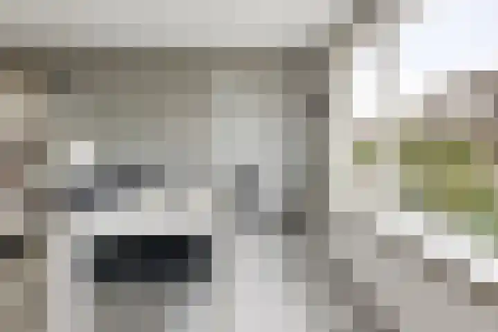 Bingse Boogaard 17 Everdingen thumbnail 16