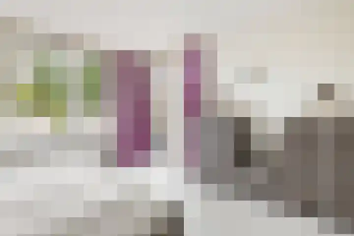 Bingse Boogaard 17 Everdingen thumbnail 21