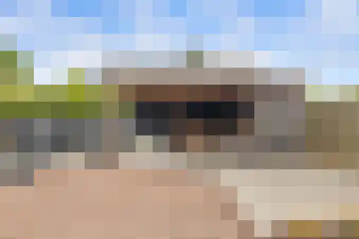 Bingse Boogaard 17 Everdingen thumbnail 27