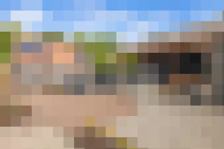 Bingse Boogaard 17 Everdingen thumbnail 28