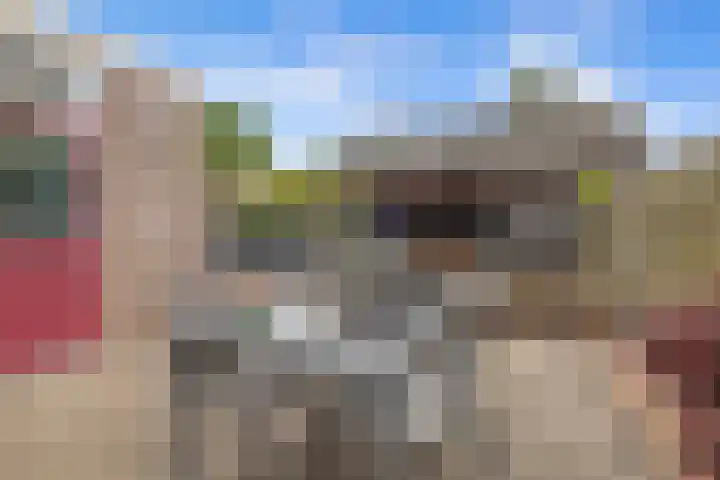 Bingse Boogaard 17 Everdingen thumbnail 29