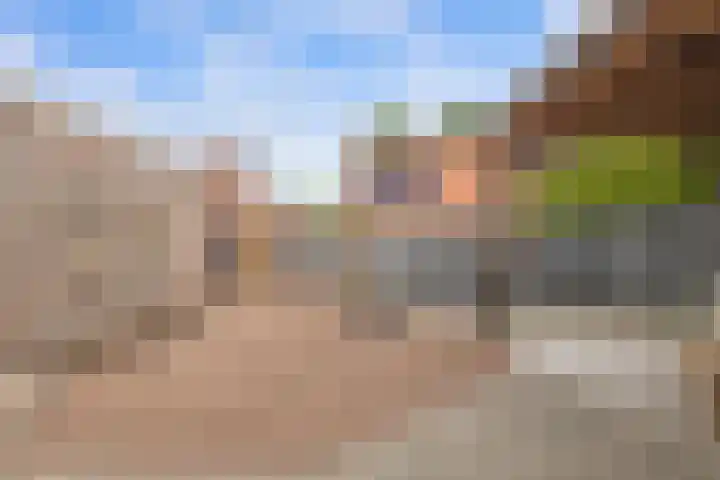 Bingse Boogaard 17 Everdingen thumbnail 30