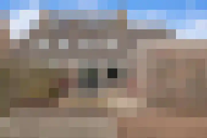 Bingse Boogaard 17 Everdingen thumbnail 31