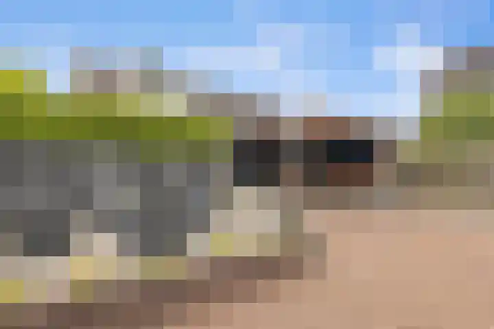 Bingse Boogaard 17 Everdingen thumbnail 33