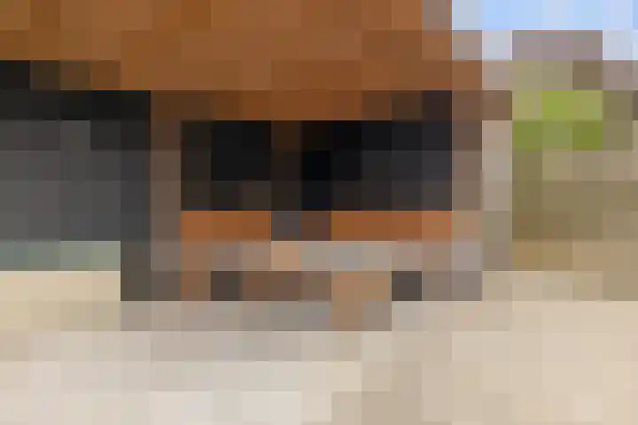 Bingse Boogaard 17 Everdingen thumbnail 35