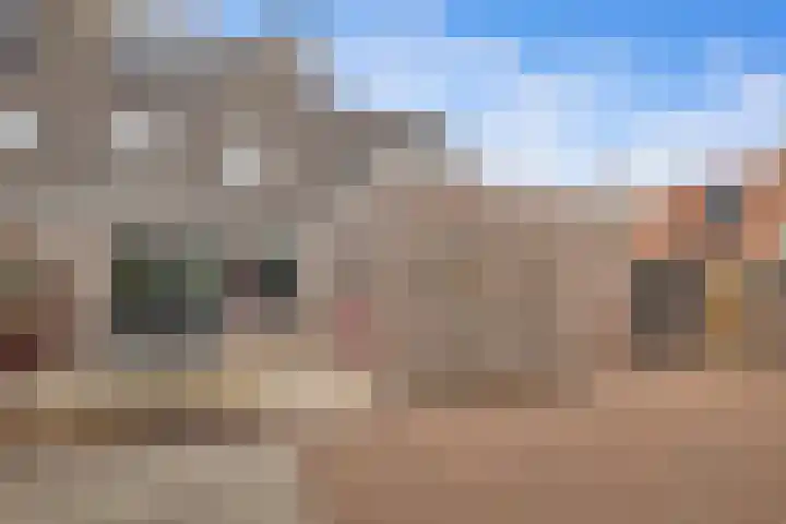 Bingse Boogaard 17 Everdingen thumbnail 36