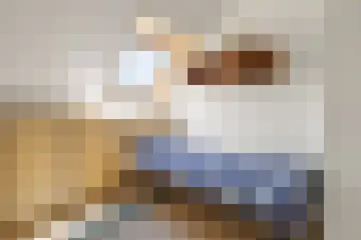 Bingse Boogaard 17 Everdingen thumbnail 40