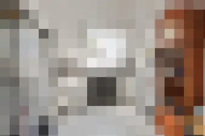 Bingse Boogaard 17 Everdingen thumbnail 48