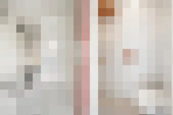 Bingse Boogaard 17 Everdingen thumbnail 5