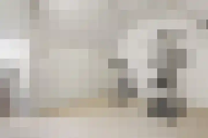 Bingse Boogaard 17 Everdingen thumbnail 56