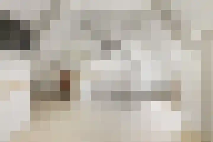 Bingse Boogaard 17 Everdingen thumbnail 57
