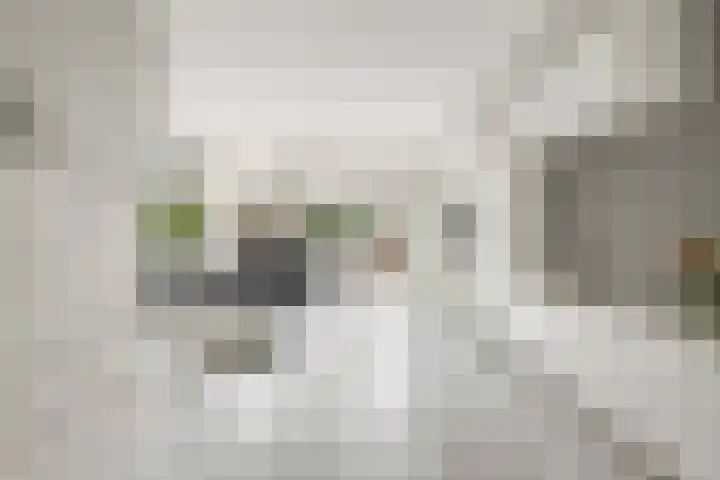 Bingse Boogaard 17 Everdingen thumbnail 6