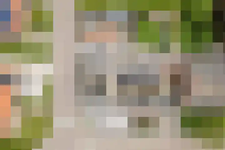 Bingse Boogaard 17 Everdingen thumbnail 61