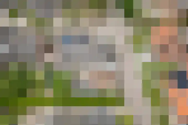 Bingse Boogaard 17 Everdingen thumbnail 62