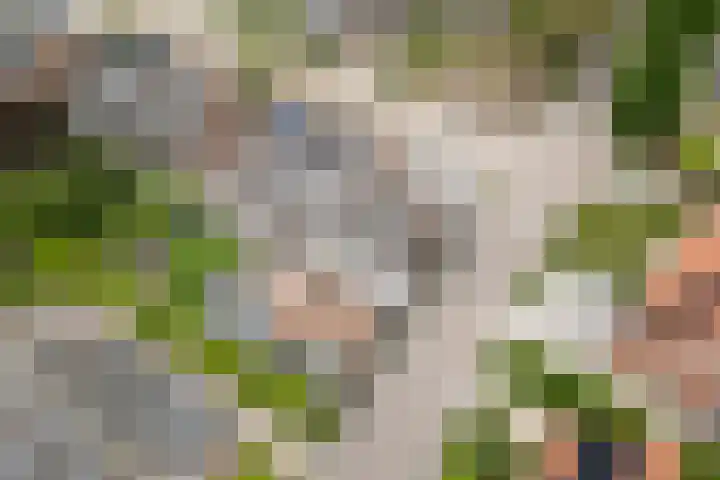Bingse Boogaard 17 Everdingen thumbnail 63