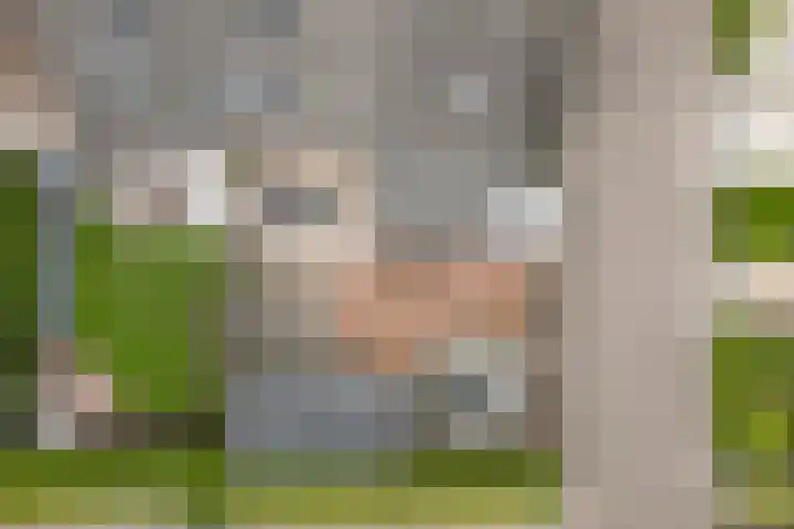 Bingse Boogaard 17 Everdingen thumbnail 64