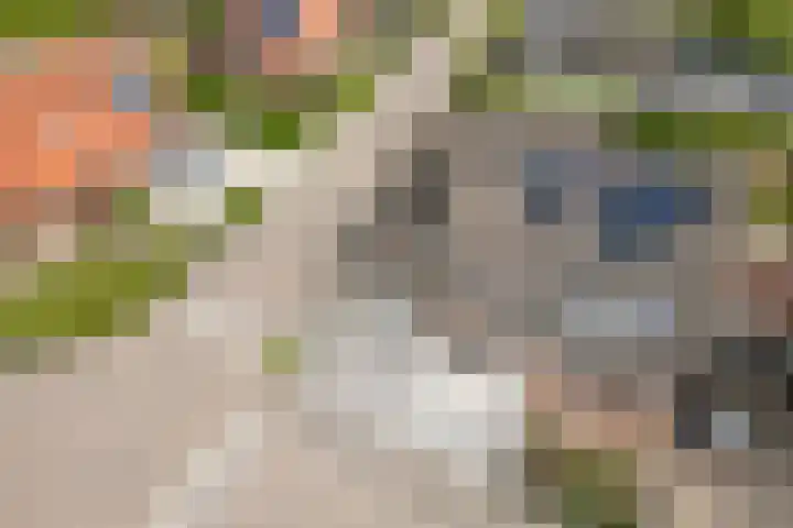 Bingse Boogaard 17 Everdingen thumbnail 65